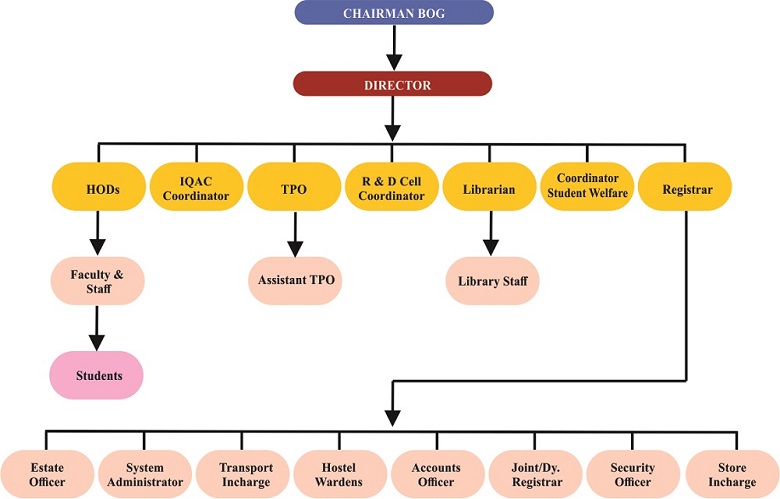 Organization Chart